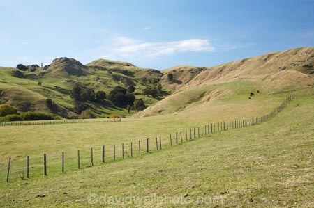agricultural;agriculture;country;countryside;farm;farming;farmland;farms;fence;fence-line;fence-lines;fence_line;fence_lines;fenceline;fencelines;fences;field;fields;Glengarry-Road;Hawkes-Bay;meadow;meadows;N.I.;N.Z.;Napier;New-Zealand;NI;North-Island;NZ;paddock;paddocks;pasture;pastures;rural