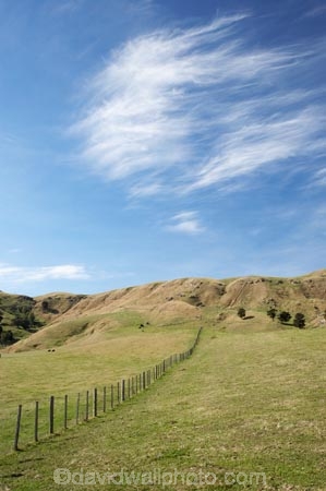 agricultural;agriculture;country;countryside;farm;farming;farmland;farms;fence;fence-line;fence-lines;fence_line;fence_lines;fenceline;fencelines;fences;field;fields;Glengarry-Road;Hawkes-Bay;meadow;meadows;N.I.;N.Z.;Napier;New-Zealand;NI;North-Island;NZ;paddock;paddocks;pasture;pastures;rural