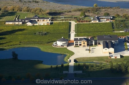 agricultural;agriculture;country;countryside;Craggy-Range-Vineyard;Craggy-Range-Winery;crop;crops;cultivation;farm;farming;farmland;farms;field;fields;grape;grapes;grapevine;Hawkes-Bay;horticulture;N.I.;N.Z.;New-Zealand;NI;North-Island;NZ;row;rows;rural;Te-Mata-Peak;Tukituki-River;Tukituki-Valley;vine;vines;vineyard;vineyards;vintage;wine;wineries;winery;wines