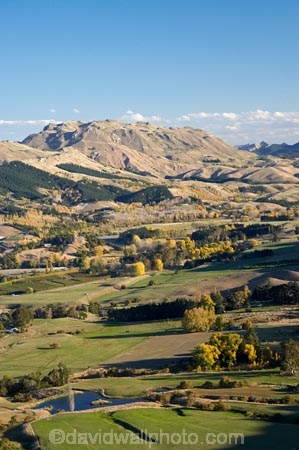 agricultural;agriculture;autuminal;autumn;autumn-colour;autumn-colours;autumnal;color;colors;colour;colours;country;countryside;deciduous;fall;farm;farming;farmland;farms;field;fields;Hawkes-Bay;hill;hills;meadow;meadows;N.I.;N.Z.;New-Zealand;NI;North-Island;NZ;paddock;paddocks;pasture;pastures;rural;season;seasonal;seasons;Te-Mata-Peak;tree;trees;Tukituki-Valley