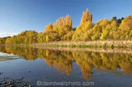 autuminal;autumn;autumn-colour;autumn-colours;autumnal;blue;calm;color;colors;colour;colours;deciduous;fall;Hawkes-Bay;leaf;leaves;N.I.;N.Z.;New-Zealand;NI;North-Island;NZ;placid;poplar;poplar-tree;poplar-trees;poplars;quiet;reflection;reflections;river;rivers;season;seasonal;seasons;serene;smooth;still;tranquil;tree;trees;water;willow;willow-tree;willow-trees;willows;yellow