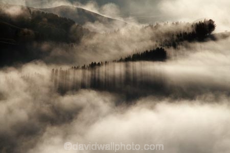 break-of-day;dawn;dawning;daybreak;first-light;fog;foggy;fogs;Hawkes-Bay;mist;mists;misty;monochromatic;monochrome;morning;N.I.;N.Z.;New-Zealand;NI;North-Island;NZ;Te-Mata-Peak;view;views;weather