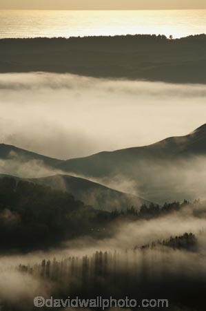 break-of-day;dawn;dawning;daybreak;first-light;fog;foggy;fogs;Hawkes-Bay;mist;mists;misty;monochromatic;monochrome;morning;N.I.;N.Z.;New-Zealand;NI;North-Island;NZ;Te-Mata-Peak;view;views;weather