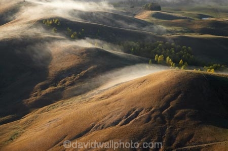 agricultural;agriculture;break-of-day;country;countryside;dawn;dawning;daybreak;farm;farming;farmland;farms;field;fields;first-light;fog;foggy;fogs;Hawkes-Bay;meadow;meadows;mist;mists;misty;morning;N.I.;N.Z.;New-Zealand;NI;North-Island;NZ;paddock;paddocks;pasture;pastures;rural;Te-Mata-Peak;view;views