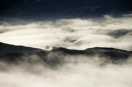 break-of-day;dawn;dawning;daybreak;first-light;fog;foggy;fogs;Hawkes-Bay;mist;mists;misty;monochromatic;monochrome;morning;N.I.;N.Z.;New-Zealand;NI;North-Island;NZ;Te-Mata-Peak;view;views;weather