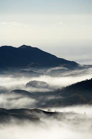 break-of-day;dawn;dawning;daybreak;first-light;fog;foggy;fogs;Hawkes-Bay;mist;mists;misty;monochromatic;monochrome;morning;N.I.;N.Z.;New-Zealand;NI;North-Island;NZ;Te-Mata-Peak;view;views;weather