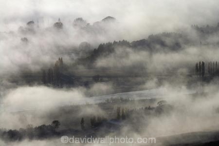 agricultural;agriculture;break-of-day;country;countryside;dawn;dawning;daybreak;farm;farming;farmland;farms;field;fields;first-light;fog;foggy;fogs;Hawkes-Bay;meadow;meadows;mist;mists;misty;monochromatic;monochrome;morning;N.I.;N.Z.;New-Zealand;NI;North-Island;NZ;paddock;paddocks;pasture;pastures;rural;Te-Mata-Peak;view;views;weather