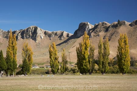 agricultural;agriculture;autuminal;autumn;autumn-colour;autumn-colours;autumnal;color;colors;colour;colours;country;countryside;deciduous;fall;farm;farming;farmland;farms;field;fields;Hawkes-Bay;meadow;meadows;N.I.;N.Z.;New-Zealand;NI;North-Island;NZ;paddock;paddocks;pasture;pastures;poplar;poplar-tree;poplar-trees;poplars;rural;season;seasonal;seasons;Te-Mata-Peak;tree;trees;Tukituki-Valley
