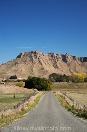 agricultural;agriculture;autuminal;autumn;autumn-colour;autumn-colours;autumnal;color;colors;colour;colours;country;countryside;deciduous;driving;fall;farm;farming;farmland;farms;field;fields;Hawkes-Bay;meadow;meadows;N.I.;N.Z.;New-Zealand;NI;North-Island;NZ;paddock;paddocks;pasture;pastures;road;roads;rural;season;seasonal;seasons;straight;Te-Mata-Peak;transport;transportation;traveling;travelling;tree;trees;Tukituki-Valley