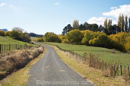 agricultural;agriculture;autuminal;autumn;autumn-colour;autumn-colours;autumnal;color;colors;colour;colours;country;country-road;country-roads;countryside;deciduous;fall;farm;farming;farmland;farms;field;fields;Hawkes-Bay;meadow;meadows;N.I.;N.Z.;New-Zealand;NI;North-Island;NZ;paddock;paddocks;pasture;pastures;road;roads;rural;season;seasonal;seasons;straight;tree;trees;Tukituki-Valley