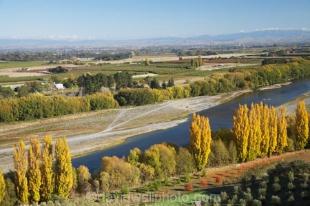 autuminal;autumn;autumn-colour;autumn-colours;autumnal;color;colors;colour;colours;deciduous;fall;Hawkes-Bay;N.I.;N.Z.;New-Zealand;NI;North-Island;NZ;poplar;poplar-tree;poplar-trees;poplars;river;rivers;season;seasonal;seasons;tree;trees;Tukituki-River;Tukituki-Valley;willow;willow-tree;willow-trees;willows