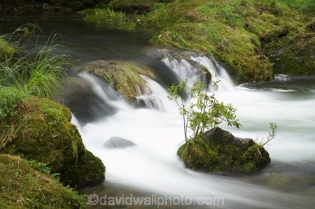 brook;brooks;cascade;cascades;creek;creeks;falls;flow;green;Hawkes-Bay;Hawkes-Bay;lush;Maraetotara-Creek;Maraetotara-River;Maraetotara-Stream;Maraetotara-Valley;N.I.;N.Z.;natural;nature;New-Zealand;NI;North-Is;North-Is.;North-Island;NZ;scene;scenic;stream;streams;water;water-fall;water-falls;waterfall;waterfalls;wet