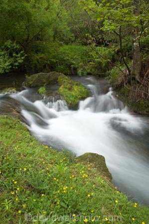 brook;brooks;cascade;cascades;creek;creeks;falls;flow;green;Hawkes-Bay;Hawkes-Bay;lush;Maraetotara-Creek;Maraetotara-River;Maraetotara-Stream;Maraetotara-Valley;N.I.;N.Z.;natural;nature;New-Zealand;NI;North-Is;North-Is.;North-Island;NZ;scene;scenic;stream;streams;water;water-fall;water-falls;waterfall;waterfalls;wet
