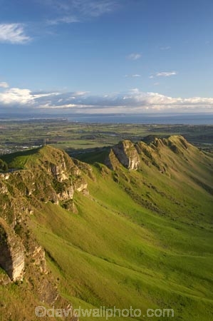 agricultural;agriculture;country;countryside;farm;farming;farmland;farms;field;fields;Hawkes-Bay;Hawkes-Bay;meadow;meadows;N.I.;N.Z.;New-Zealand;NI;North-Is;North-Is.;North-Island;NZ;paddock;paddocks;pasture;pastures;rural;season;seasonal;seasons;spring;springtime;Te-Mata-Peak;Te-Mata-Pk;Tukituki-River-Valley