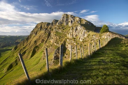 agricultural;agriculture;country;countryside;farm;farming;farmland;farms;fence;fence-line;fence-lines;fence_line;fence_lines;fenceline;fencelines;fences;field;fields;Hawkes-Bay;Hawkes-Bay;meadow;meadows;N.I.;N.Z.;New-Zealand;NI;North-Is;North-Is.;North-Island;NZ;paddock;paddocks;pasture;pastures;rural;Te-Mata-Peak;Te-Mata-Pk