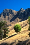 grass;rural;countryside;pastoral;field;fields;meadow;meadows;wire;wires;slope;tree;bush;peaks;hills;mountains;nature