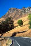 countryside;pastoral;field;fields;meadow;meadows;tree;bush;peaks;hills;mountains;nature;road;roads;curve;curving