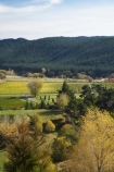 agricultural;agriculture;autuminal;autumn;autumn-colour;autumn-colours;autumnal;color;colors;colour;colours;country;countryside;crop;crops;cultivation;deciduous;Eskdale;fall;farm;farming;farmland;farms;field;fields;grape;grapes;grapevine;Hawkes-Bay;horticulture;N.I.;N.Z.;Napier;New-Zealand;NI;North-Island;NZ;row;rows;rural;season;seasonal;seasons;tree;trees;vine;vines;vineyard;vineyards;vintage;wine;wineries;winery;wines