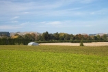 agricultural;agriculture;country;countryside;crop;crops;cultivation;farm;farming;farmland;farms;field;fields;grape;grapes;grapevine;Hawkes-Bay;horticulture;N.I.;N.Z.;New-Zealand;NI;North-Island;NZ;row;rows;rural;Tutaekuri-River-Valley;vine;vines;vineyard;vineyards;vintage;wine;wineries;winery;wines