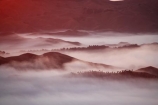 break-of-day;cloud;clouds;cloudy;dawn;dawning;daybreak;first-light;fog;foggy;fogs;Hawkes-Bay;mist;mists;misty;morning;N.I.;N.Z.;New-Zealand;NI;North-Island;NZ;orange;sunrise;sunrises;sunup;Te-Mata-Peak;view;views