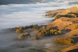 agricultural;agriculture;break-of-day;country;countryside;dawn;dawning;daybreak;farm;farming;farmland;farms;field;fields;first-light;fog;foggy;fogs;Hawkes-Bay;meadow;meadows;mist;mists;misty;morning;N.I.;N.Z.;New-Zealand;NI;North-Island;NZ;paddock;paddocks;pasture;pastures;rural;Te-Mata-Peak;Tukituki-River-Valley;view;views