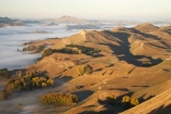 agricultural;agriculture;break-of-day;country;countryside;dawn;dawning;daybreak;farm;farming;farmland;farms;field;fields;first-light;fog;foggy;fogs;Hawkes-Bay;meadow;meadows;mist;mists;misty;morning;N.I.;N.Z.;New-Zealand;NI;North-Island;NZ;paddock;paddocks;pasture;pastures;rural;Te-Mata-Peak;Tukituki-River-Valley;view;views