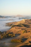 agricultural;agriculture;break-of-day;country;countryside;dawn;dawning;daybreak;farm;farming;farmland;farms;field;fields;first-light;fog;foggy;fogs;Hawkes-Bay;meadow;meadows;mist;mists;misty;morning;N.I.;N.Z.;New-Zealand;NI;North-Island;NZ;paddock;paddocks;pasture;pastures;rural;Te-Mata-Peak;Tukituki-River-Valley;view;views