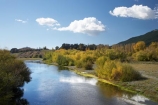 autuminal;autumn;autumn-colour;autumn-colours;autumnal;color;colors;colour;colours;deciduous;fall;Hawkes-Bay;N.I.;N.Z.;New-Zealand;NI;North-Island;NZ;river;rivers;season;seasonal;seasons;tree;trees;Tukituki-River;Tukituki-Valley