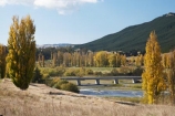 agricultural;agriculture;autuminal;autumn;autumn-colour;autumn-colours;autumnal;bridge;bridges;color;colors;colour;colours;country;countryside;deciduous;fall;farm;farming;farmland;farms;field;fields;Hawkes-Bay;meadow;meadows;N.I.;N.Z.;New-Zealand;NI;North-Island;NZ;paddock;paddocks;pasture;pastures;poplar;poplar-tree;poplar-trees;poplars;river;rivers;rural;season;seasonal;seasons;tree;trees;Tukituki-River;Tukituki-Valley