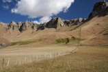 agricultural;agriculture;country;countryside;farm;farming;farmland;farms;fence;fence-line;fence-lines;fence_line;fence_lines;fenceline;fencelines;fences;field;fields;Hawkes-Bay;meadow;meadows;N.I.;N.Z.;New-Zealand;NI;North-Island;NZ;paddock;paddocks;pasture;pastures;rural;Te-Mata-Peak;Tukituki-Valley