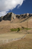 agricultural;agriculture;country;countryside;farm;farming;farmland;farms;fence;fence-line;fence-lines;fence_line;fence_lines;fenceline;fencelines;fences;field;fields;Hawkes-Bay;meadow;meadows;N.I.;N.Z.;New-Zealand;NI;North-Island;NZ;paddock;paddocks;pasture;pastures;rural;Te-Mata-Peak;Tukituki-Valley