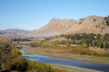 autuminal;autumn;autumn-colour;autumn-colours;autumnal;color;colors;colour;colours;deciduous;fall;Hawkes-Bay;N.I.;N.Z.;New-Zealand;NI;North-Island;NZ;river;rivers;season;seasonal;seasons;Te-Mata-Peak;tree;trees;Tukituki-River;Tukituki-Valley