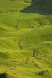 agricultural;agriculture;country;countryside;farm;farming;farmland;farms;field;fields;grass;green;Hawkes-Bay;Hawkes-Bay;lush;meadow;meadows;N.I.;N.Z.;New-Zealand;NI;North-Is;North-Is.;North-Island;NZ;paddock;paddocks;pasture;pastures;rural;season;seasonal;seasons;spring;springtime;Tukituki-River-Valley;verdant