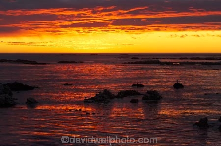 break-of-day;coast;coastal;coastline;coastlines;coasts;dawn;dawning;daybreak;first-light;Kaikoura;Kaikoura-Coast;Marlborough;morning;N.Z.;New-Zealand;NZ;ocean;oceans;orange;Pacific-Ocean;S.I.;sea;shore;shoreline;shorelines;shores;SI;South-Island;sunrise;sunrises;sunup;twilight;water