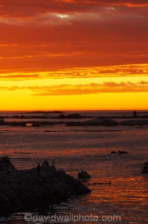 break-of-day;coast;coastal;coastline;coastlines;coasts;dawn;dawning;daybreak;first-light;Kaikoura;Kaikoura-Coast;Marlborough;morning;N.Z.;New-Zealand;NZ;ocean;oceans;orange;Pacific-Ocean;S.I.;sea;shore;shoreline;shorelines;shores;SI;South-Island;sunrise;sunrises;sunup;twilight;water