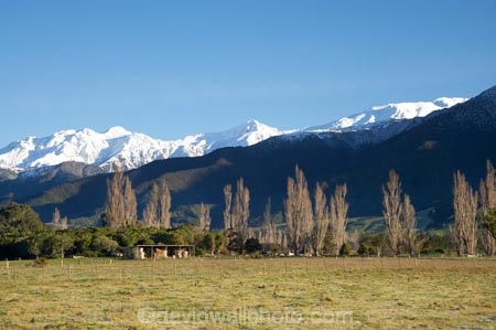 agricultural;agriculture;alp;alpine;alps;altitude;country;countryside;farm;farming;farmland;farms;field;fields;Kaikoura;Kaikoura-Range;Kaikoura-Ranges;Marlborough;meadow;meadows;mount;mountain;mountain-peak;mountainous;mountains;mountainside;mt;mt.;N.Z.;New-Zealand;NZ;paddock;paddocks;pasture;pastures;peak;peaks;range;ranges;rural;S.I.;season;seasonal;seasons;Seaward-Kaikoura-Range;Seaward-Kaikoura-Ranges;SI;snow;snow-capped;snow_capped;snowcapped;snowy;South-Is;South-Island;summit;summits;white;winter;wintery