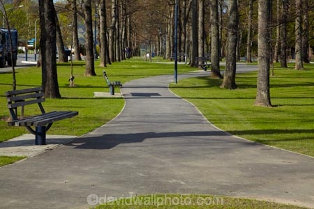Canterbury;Hamner;Hamner-Springs;Hanmer;Hanmer-Springs;Hurunui-District;N.Z.;New-Zealand;NZ;park;parks;path;paths;pathway;pathways;reserve;reserves;S.I.;SI;South-Is;South-Is.;South-Island;Sth-Is;tree;trees