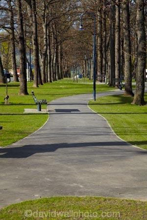 Canterbury;Hamner;Hamner-Springs;Hanmer;Hanmer-Springs;Hurunui-District;N.Z.;New-Zealand;NZ;park;parks;path;paths;pathway;pathways;reserve;reserves;S.I.;SI;South-Is;South-Is.;South-Island;Sth-Is;tree;trees