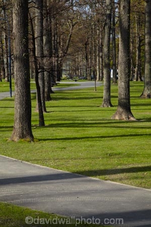 Canterbury;Hamner;Hamner-Springs;Hanmer;Hanmer-Springs;Hurunui-District;N.Z.;New-Zealand;NZ;park;parks;path;paths;pathway;pathways;reserve;reserves;S.I.;SI;South-Is;South-Is.;South-Island;Sth-Is;tree;trees