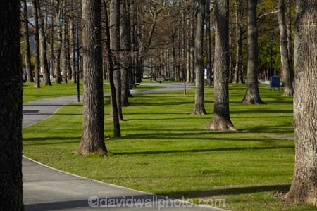 Canterbury;Hamner;Hamner-Springs;Hanmer;Hanmer-Springs;Hurunui-District;N.Z.;New-Zealand;NZ;park;parks;path;paths;pathway;pathways;reserve;reserves;S.I.;SI;South-Is;South-Is.;South-Island;Sth-Is;tree;trees