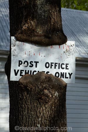 Canterbury;growth;Hamner;Hamner-Springs;Hanmer;Hanmer-Springs;Hurunui-District;N.Z.;New-Zealand;NZ;parking-sign;post-office-sign;S.I.;SI;South-Is;South-Is.;South-Island;Sth-Is;tree;trees