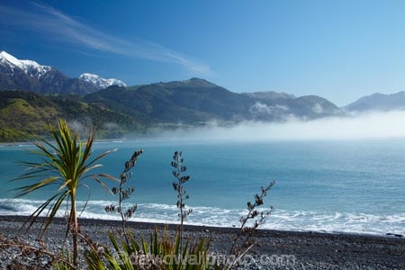 bay;bays;beach;beaches;cabbage-tree;cabbage-trees;coast;coastal;coastline;coastlines;coasts;cordolyne-australis;flax;flaxes;Kaikoura;Kaikoura-Coast;Mangamaunu;Marlborough;N.Z.;New-Zealand;NZ;ocean;oceans;Pacific-Ocean;S.I.;sea;seas;Seaward-Kaikoura-Ranges;shore;shoreline;shorelines;shores;SI;snow;snow-capped;South-Is;South-Island;Sth-Is;water