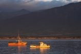 boat;boats;calm;calmness;coast;coastal;coastline;coastlines;coasts;dawn;early-light;early-morning;fishing-boat;fishing-boats;Kaikoura;Kaikoura-Coast;Marlborough;N.Z.;New-Zealand;NZ;ocean;oceans;Pacific-Ocean;S.I.;sea;Seaward-Kaikoura-Range;Seaward-Kaikoura-Ranges;shore;shoreline;shorelines;shores;SI;South-Island;still;stillness;water