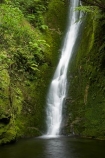 cascade;cascades;creek;creeks;falls;Kaikoura;Kaikoura-Coast;Marlborough;N.Z.;natural;nature;New-Zealand;NZ;Ohau-Point-Waterfall;Ohau-Waterfall;pool;pools;S.I.;scene;scenic;Seaward-Kaikoura-Range;Seaward-Kaikoura-Ranges;SI;South-Island;stream;streams;water;water-fall;water-falls;waterfall;waterfalls;wet