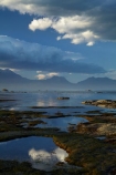 calm;cloud;clouds;coast;coastal;coastline;coastlines;coasts;Kaikoura;Kaikoura-Coast;Kaikoura-Range;Kaikoura-Ranges;Marlborough;New-Zealand;NZ;ocean;oceans;Pacific-Ocean;placid;quiet;reflected;reflection;reflections;rock-pool;rock-pools;S.I.;sea;seas;Seaward-Kaikoura-Range;Seaward-Kaikoura-Ranges;serene;shore;shoreline;shorelines;shores;smooth;South-Is;South-Island;Sth-Is;still;tidal-pool;tidal-pools;tranquil;water