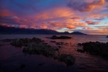 alpenglo;alpenglow;alpine;alpinglo;alpinglow;break-of-day;calm;cloud;clouds;coast;coastal;coastline;coastlines;coasts;color;colors;colour;colours;dawn;dawning;daybreak;first-light;Kaikoura;Kaikoura-Coast;Kaikoura-Range;Kaikoura-Ranges;Marlborough;morning;mountain;mountainous;mountains;mt;New-Zealand;NZ;ocean;oceans;orange;Pacific-Ocean;pink;placid;quiet;reflected;reflection;reflections;S.I.;sea;seas;Seaward-Kaikoura-Range;Seaward-Kaikoura-Ranges;serene;shore;shoreline;shorelines;shores;smooth;snow;South-Is;South-Island;Sth-Is;still;sunrise;sunrises;sunup;tranquil;twilight;water