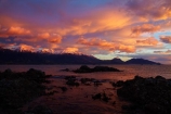 alpenglo;alpenglow;alpine;alpinglo;alpinglow;break-of-day;calm;cloud;clouds;coast;coastal;coastline;coastlines;coasts;color;colors;colour;colours;dawn;dawning;daybreak;first-light;Kaikoura;Kaikoura-Coast;Kaikoura-Range;Kaikoura-Ranges;Marlborough;morning;mountain;mountainous;mountains;mt;New-Zealand;NZ;ocean;oceans;orange;Pacific-Ocean;pink;placid;quiet;reflected;reflection;reflections;S.I.;sea;seas;Seaward-Kaikoura-Range;Seaward-Kaikoura-Ranges;serene;shore;shoreline;shorelines;shores;smooth;snow;snow-capped;snowy;South-Is;South-Island;Sth-Is;still;sunrise;sunrises;sunup;tranquil;twilight;water