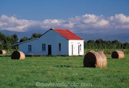 farm;rural;grass;agriculture;farming;farms;pasture;paddock;paddocks;field;fields;meadow;meadows;pastures;wairarapa;north-island;farmland;martinborough;lush;green;verdant;fertile;hay;haybale;haybales;hay-bale;hay-bales;shed;house;derelict;bale;bales