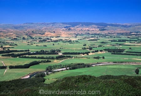 farm;rural;grass;agriculture;farming;farms;pasture;paddock;paddocks;field;fields;meadow;meadows;pastures;north-island;trees;tree;farmland;forest-forests;plain;plains;valley;valleys;woodville