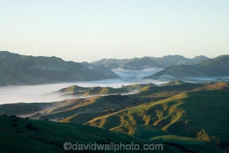 agricultural;agriculture;cloud;cloudy;country;countryside;early-morning;farm;farming;farmland;farms;field;fields;fog;foggy;Hikawera;Hinakura;Martinborough;meadow;meadows;mist;misty;N.I.;N.Z.;New-Zealand;NI;North-Island;NZ;paddock;paddocks;pasture;pastures;rural;Wairarapa